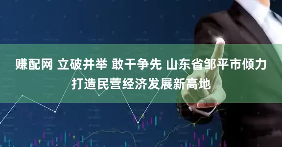 赚配网 立破并举 敢干争先 山东省邹平市倾力打造民营经济发展新高地