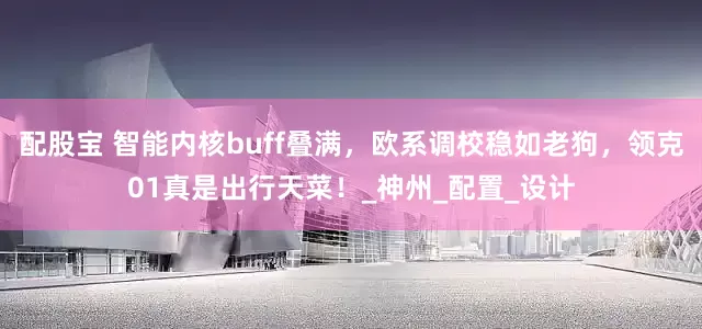 配股宝 智能内核buff叠满，欧系调校稳如老狗，领克01真是出行天菜！_神州_配置_设计